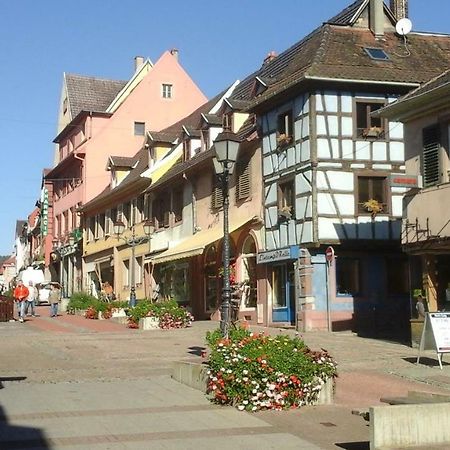 Maison Bleue Daire Saverne Dış mekan fotoğraf