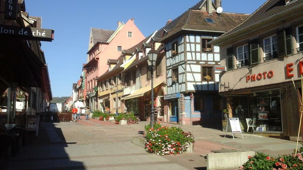 Maison Bleue Daire Saverne Dış mekan fotoğraf