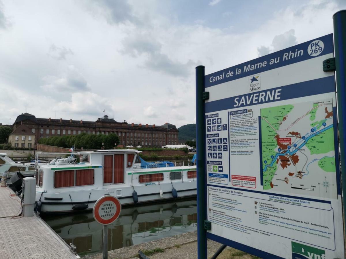 Maison Bleue Daire Saverne Dış mekan fotoğraf